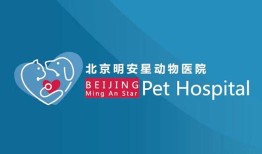 北京明安星动物医院